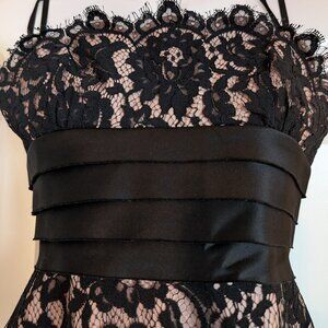 Strapless BCBG Lace Dress